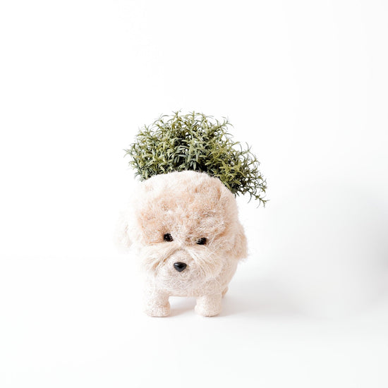 Poodle Planter