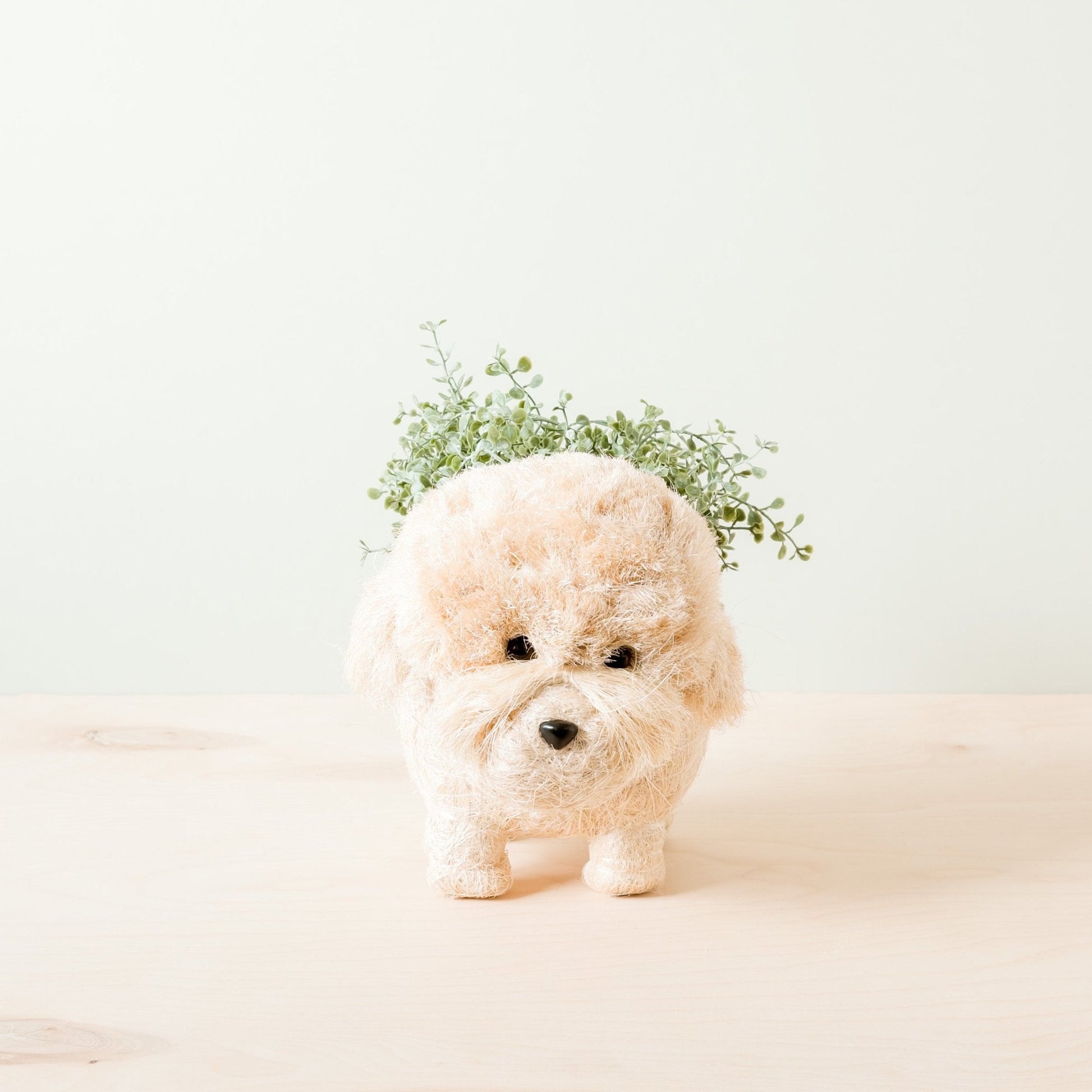 Poodle Planter