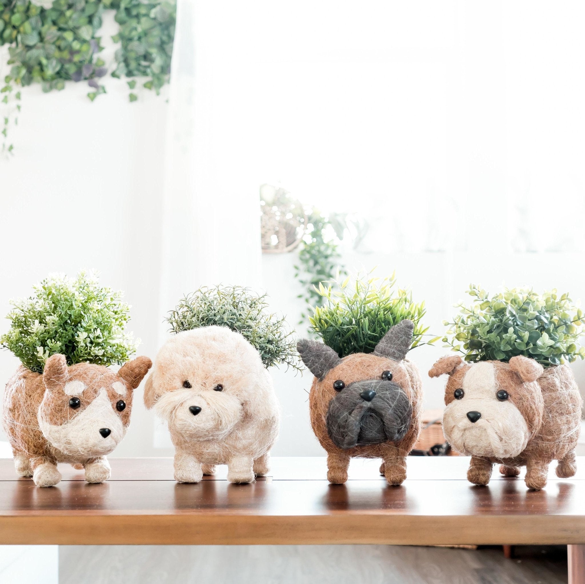 Poodle Planter