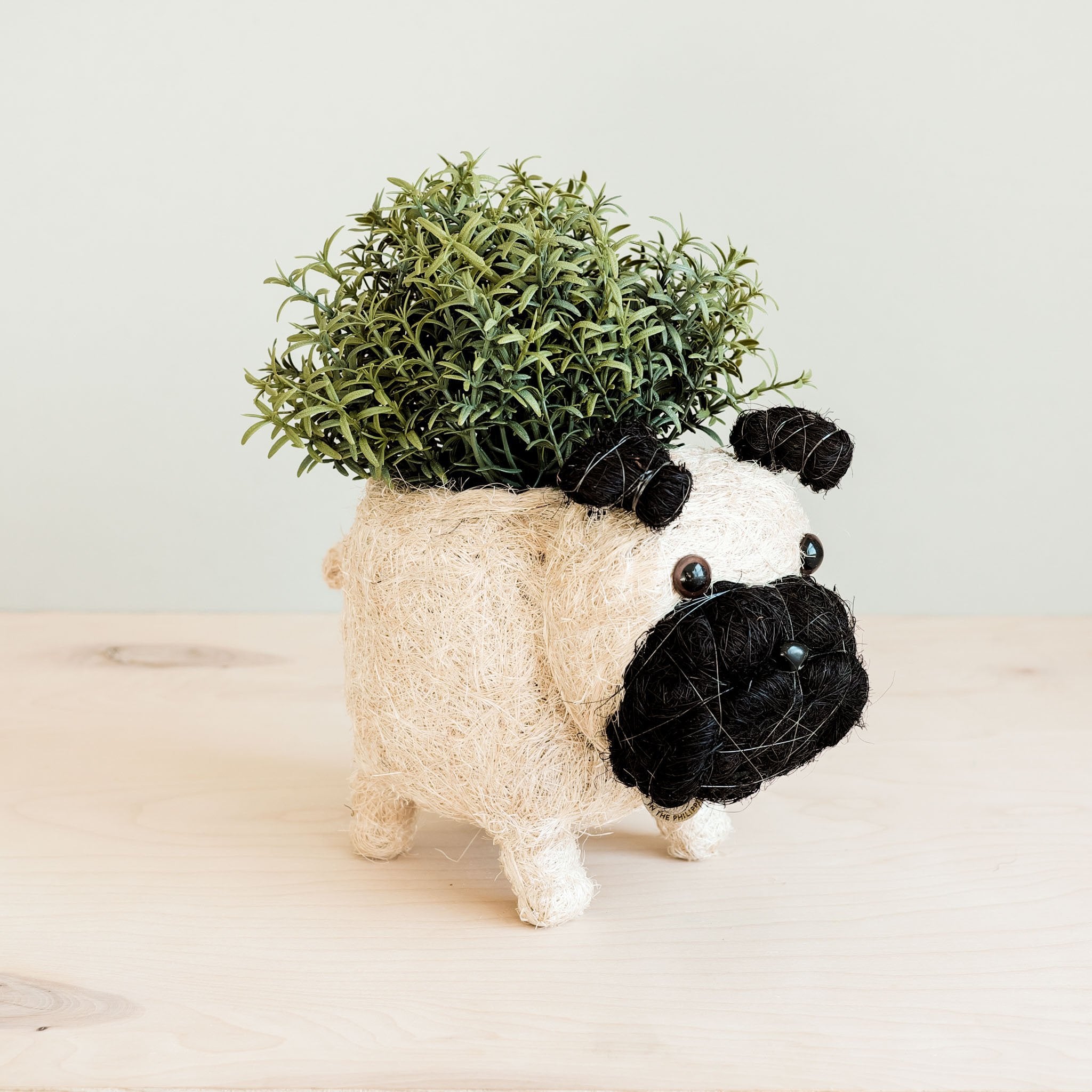 Pug Planter