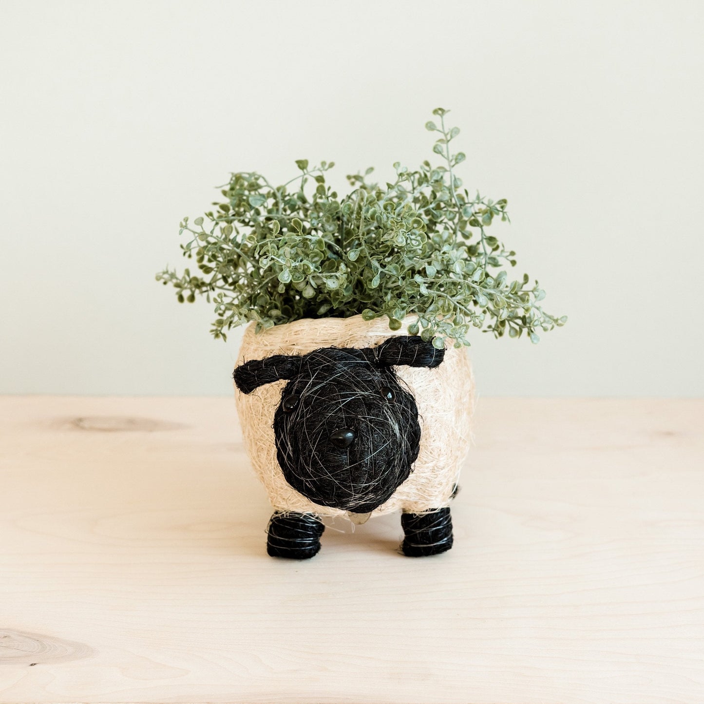 Sheep Planter