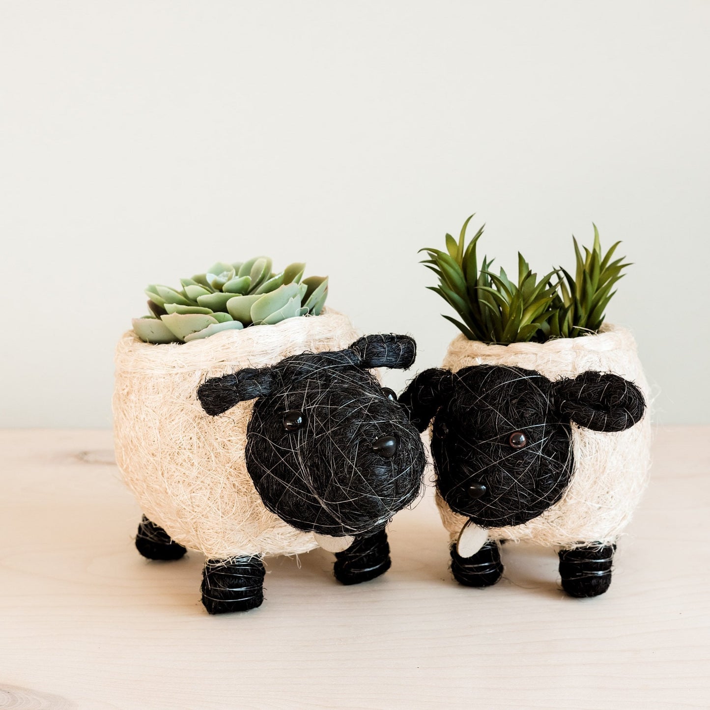 Sheep Planter