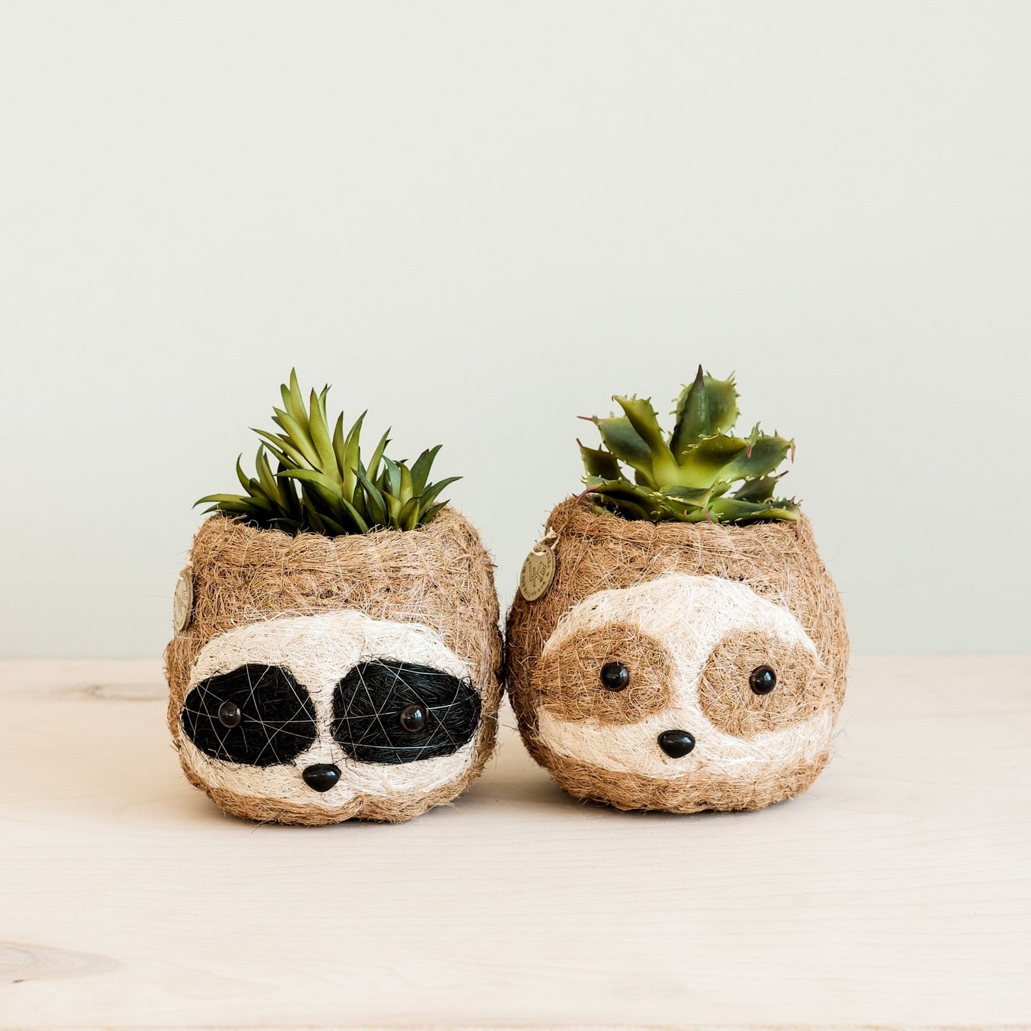 Three-tone Sloth Planter