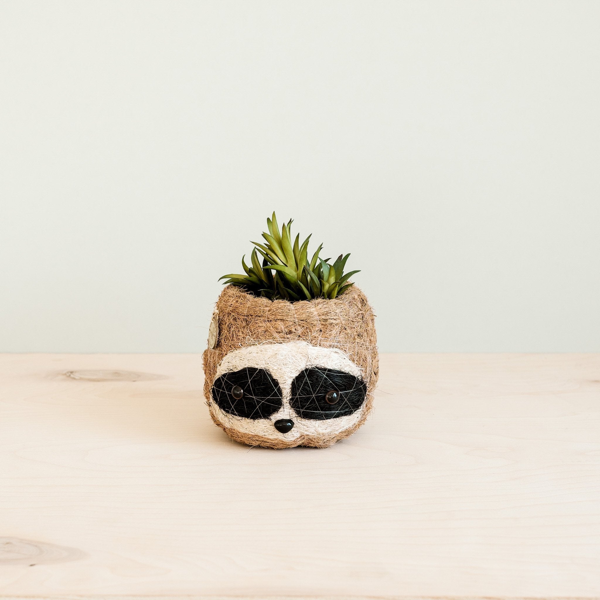 Three-tone Sloth Planter