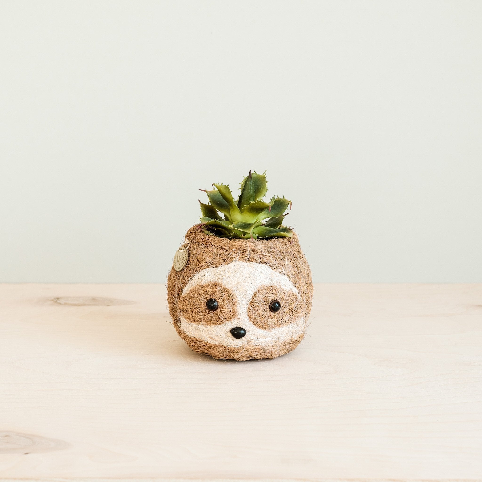 Two-tone Sloth Planter