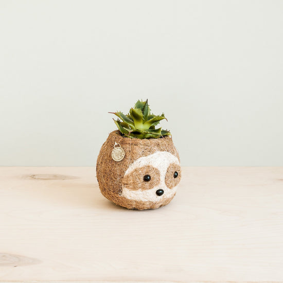 Two-tone Sloth Planter