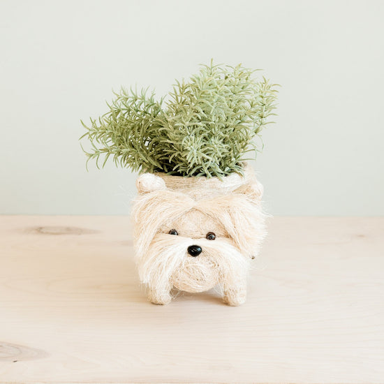 Westie Planter