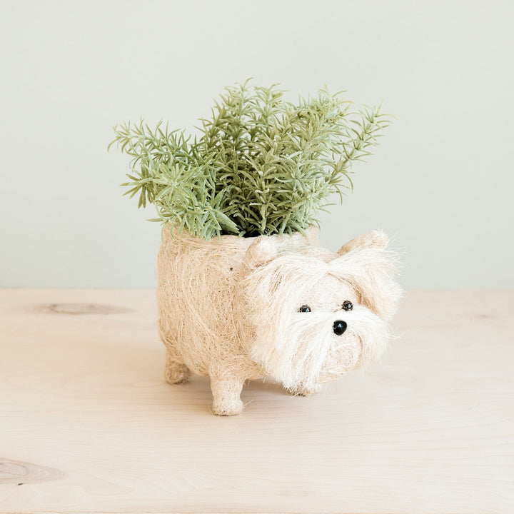 Westie Planter