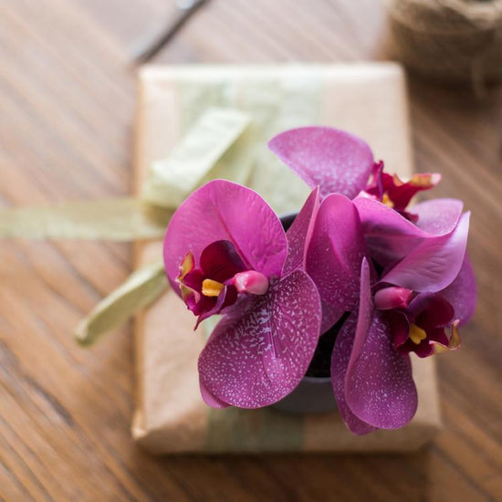 Potted Flower Mini Real Touch Potted Orchid in Purple