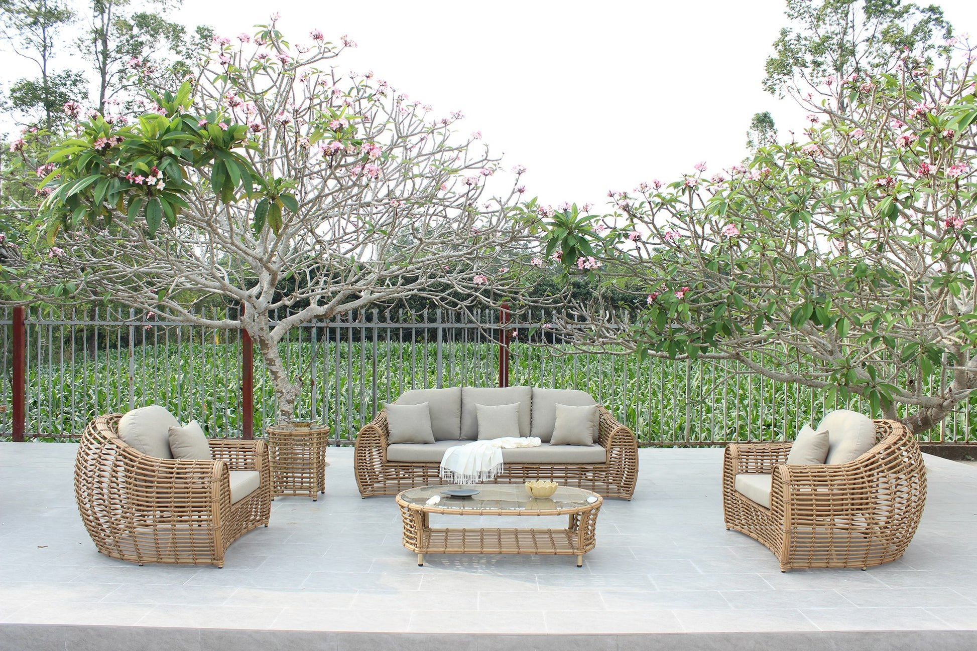 Renava Sandra - Outdoor Beige + Wicker Sofa Set With End Table