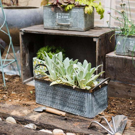 Rectangular Iron Planter with Handles