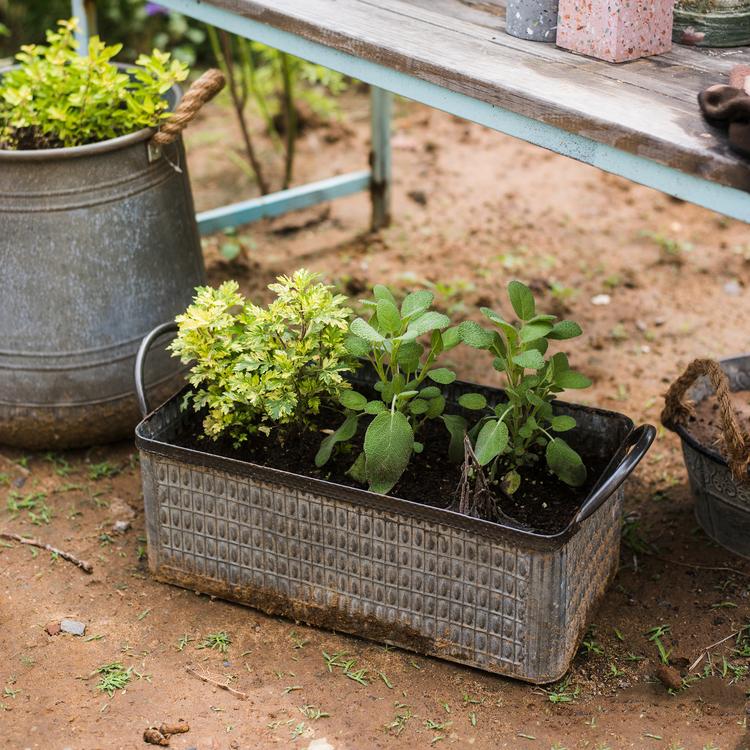 Rectangular Iron Planter with Handles