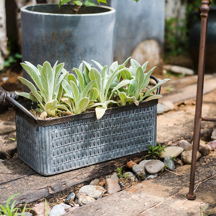 Rectangular Iron Planter with Handles