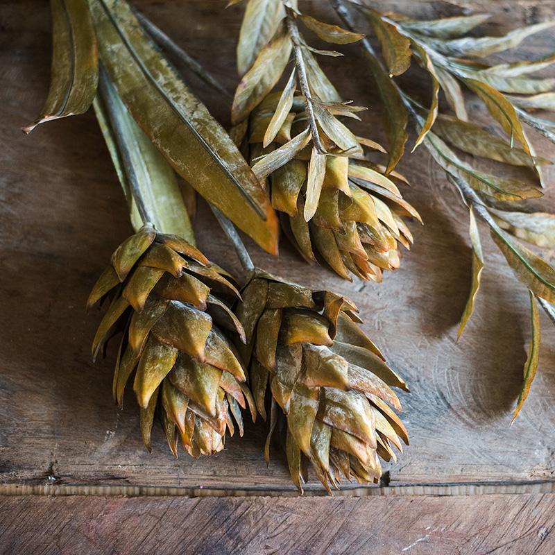 Renaissance Autumnal Faux Dried Flowers & Plants