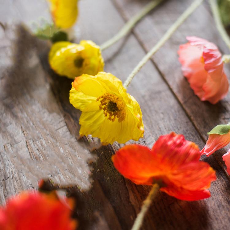 Silk Common Poppy Flower Stem 22" Tall