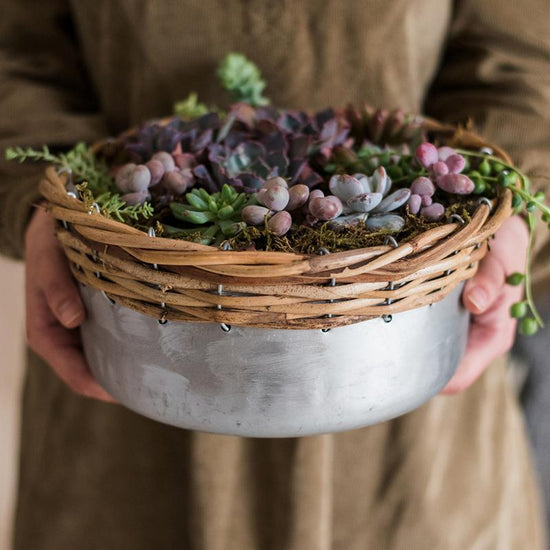 Silver Metal Willow Mixed Zakka Planter