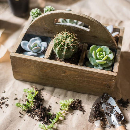 Wooden Box basket with Carry Handle