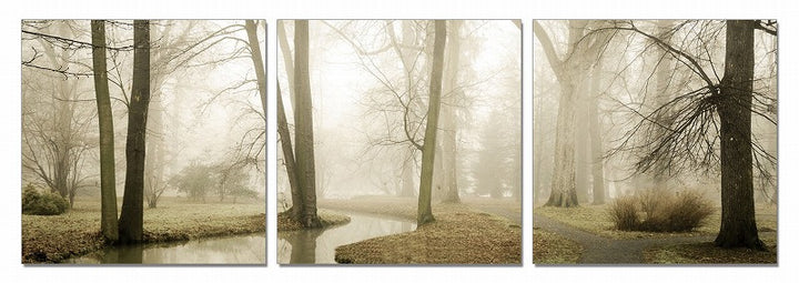 Modrest Mist 3-Panel Photo On Canvas