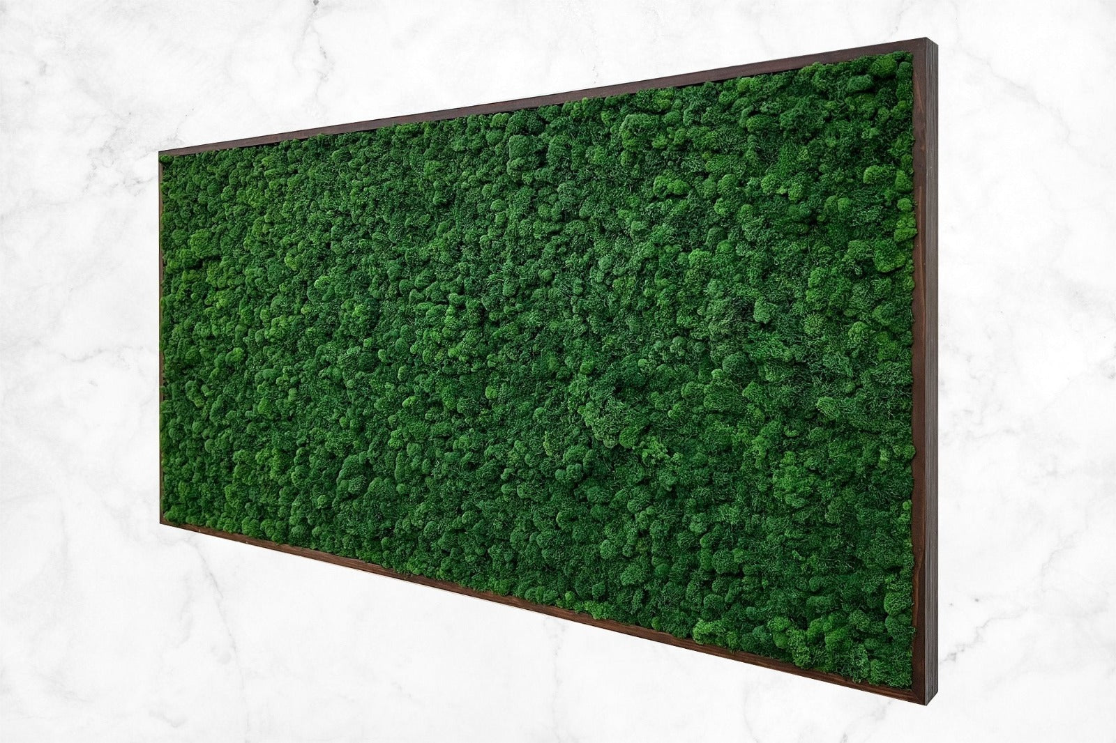 Preserved Reindeer Moss Wall Art