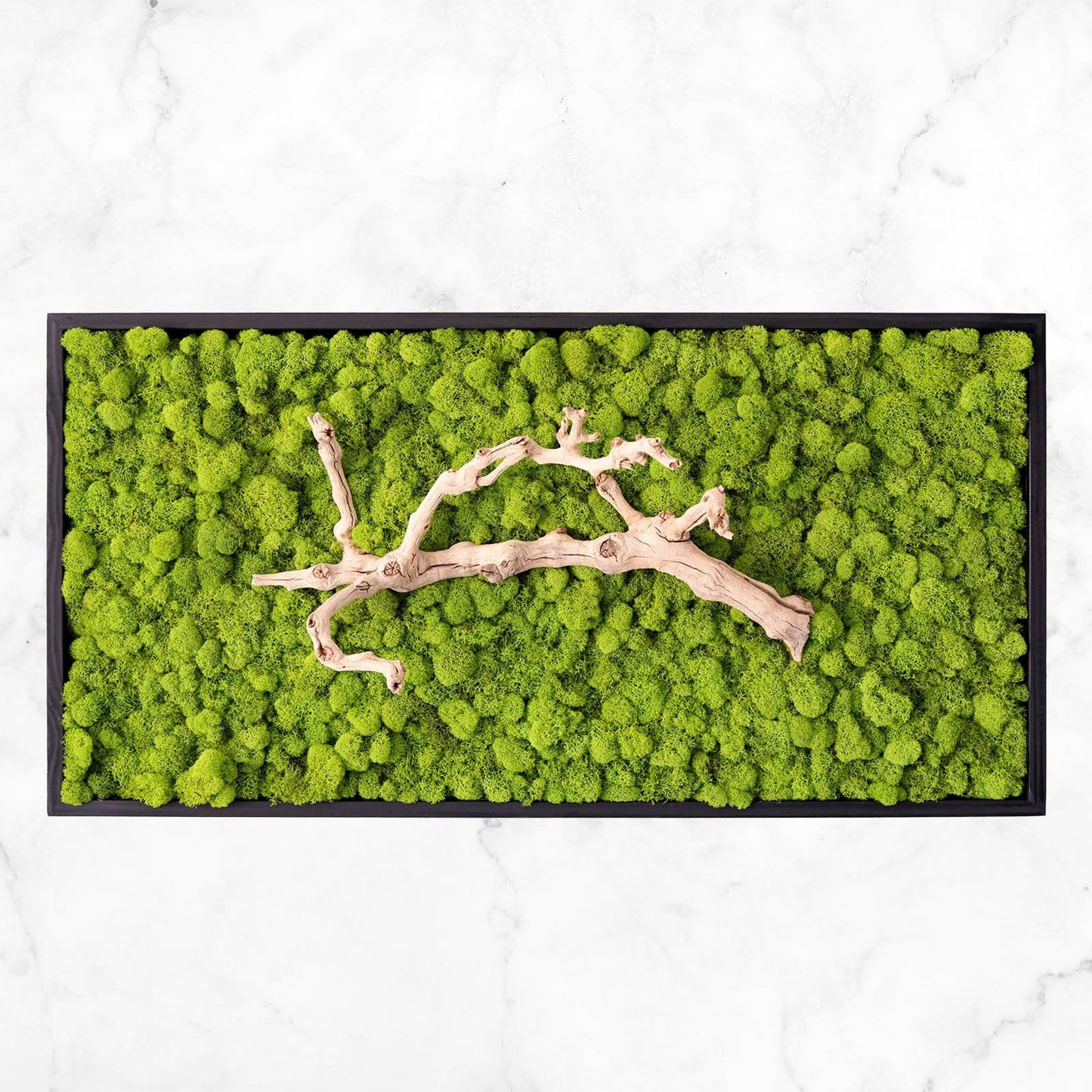 Grapevine Root & Moss Wall Art