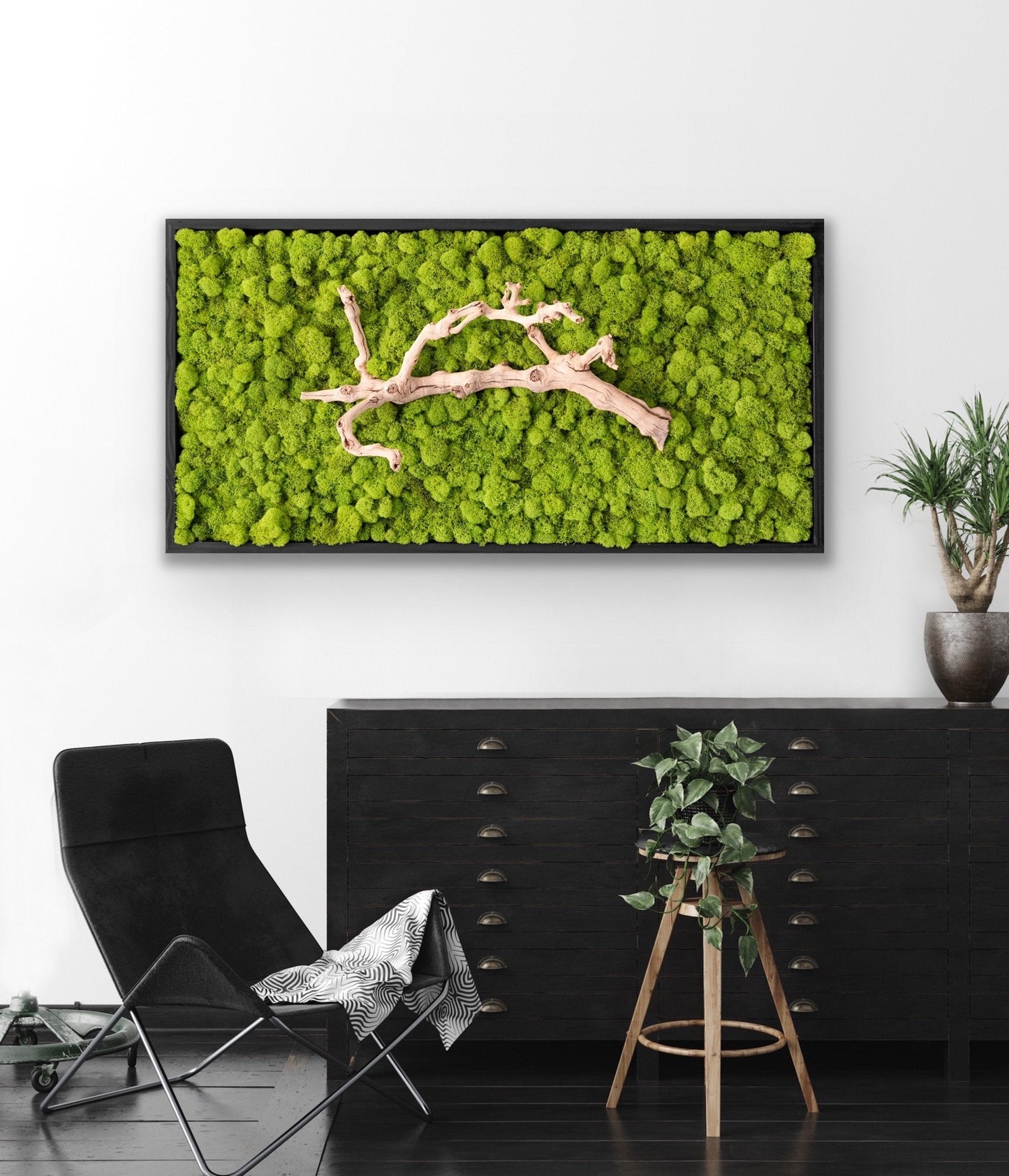 Grapevine Root & Moss Wall Art